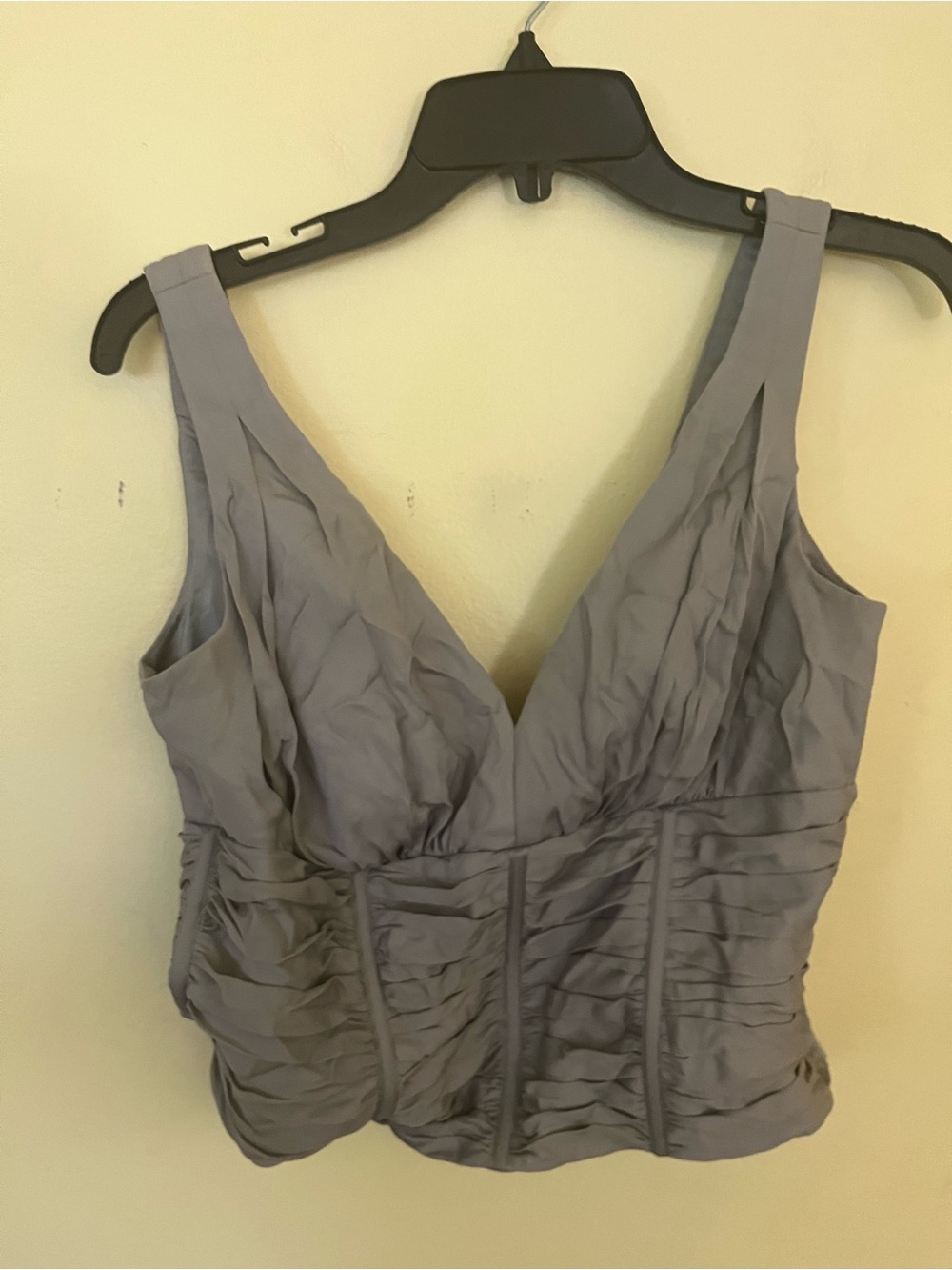 Carlisle Light Gray Silk Cropped Top Structured Bodice Size 6